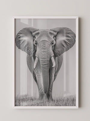 Elefant Frontalansicht schwarz-weiß