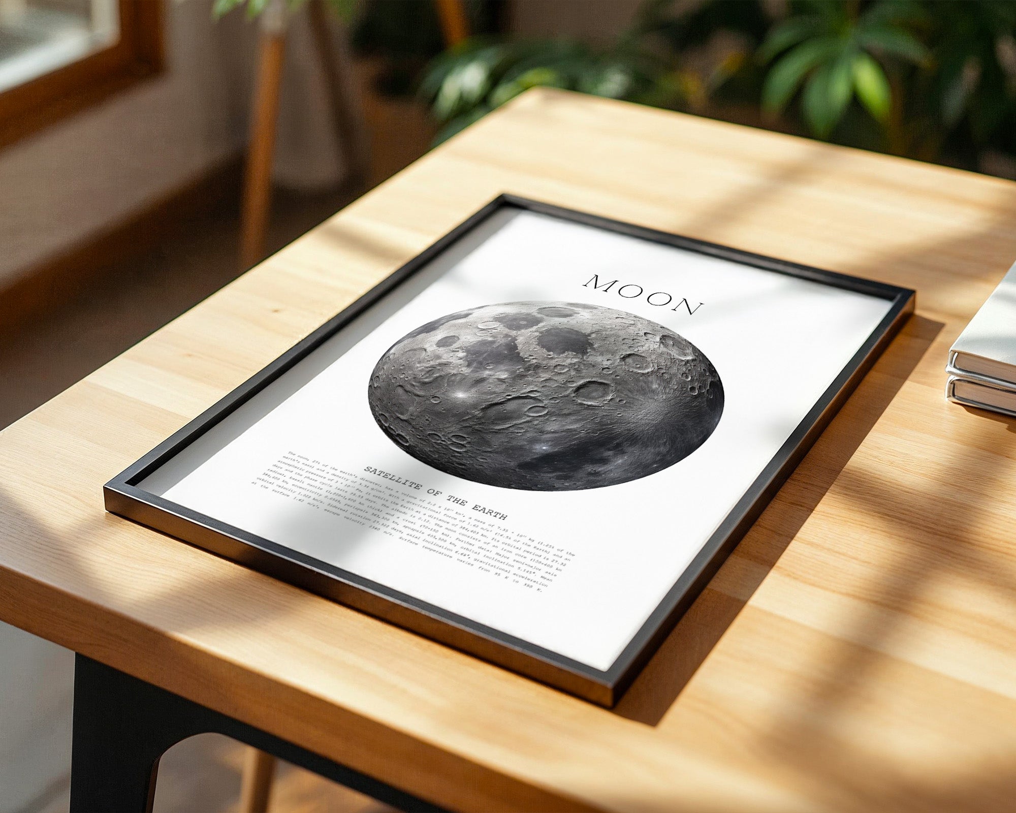 Mond grau Textur Detail