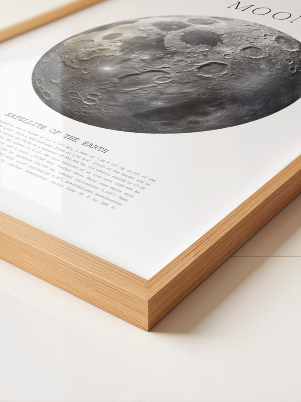 Mond grau Textur Detail