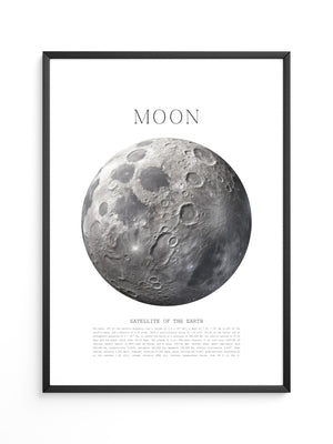 Mond grau Textur Detail