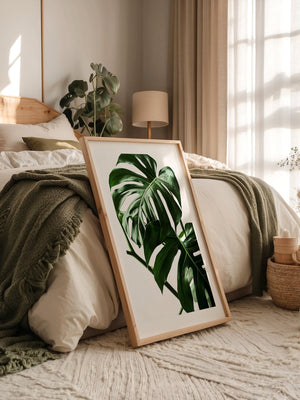 Monstera im Rampenlicht