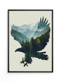 Adler Wald Collage