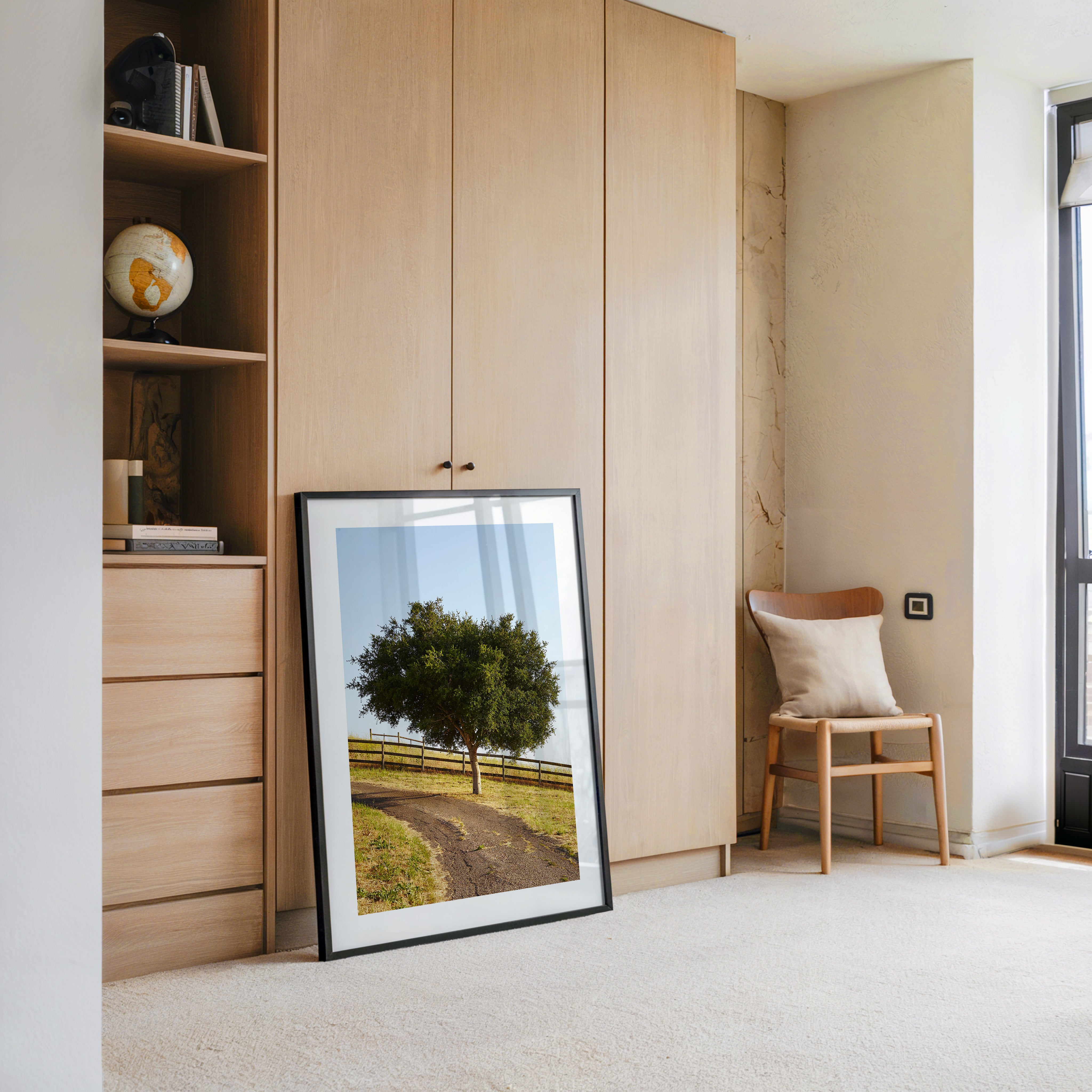 Baumallee Zaun Schattenspiele