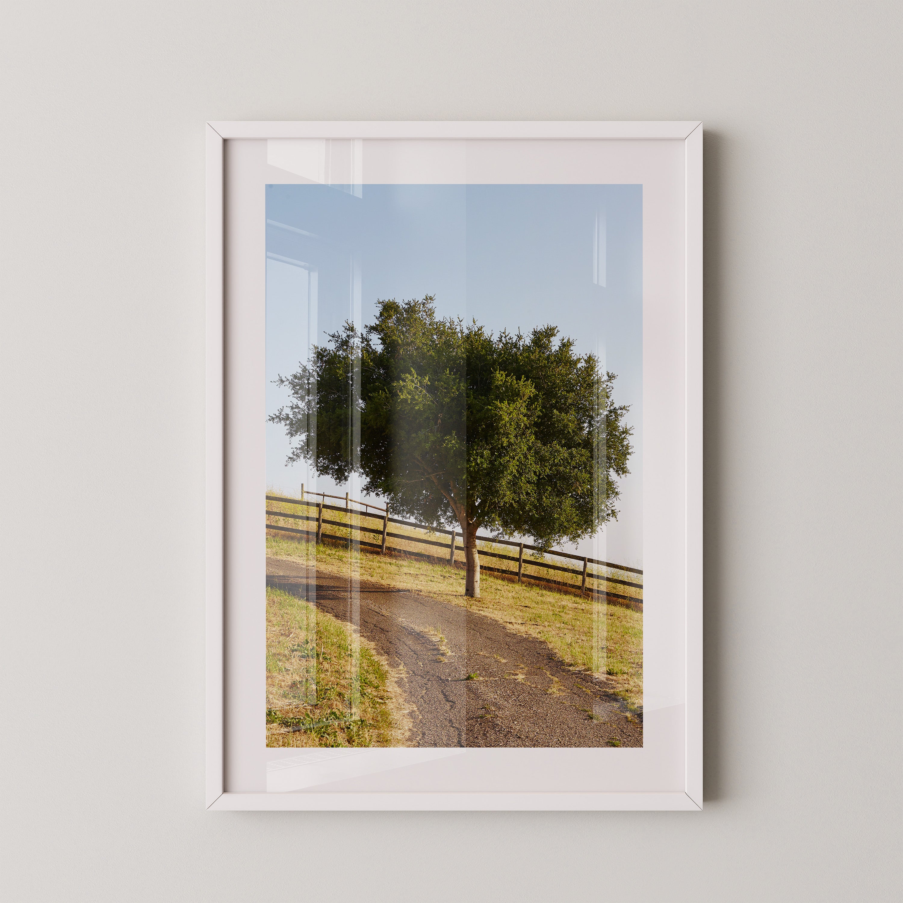 Baumallee Zaun Schattenspiele