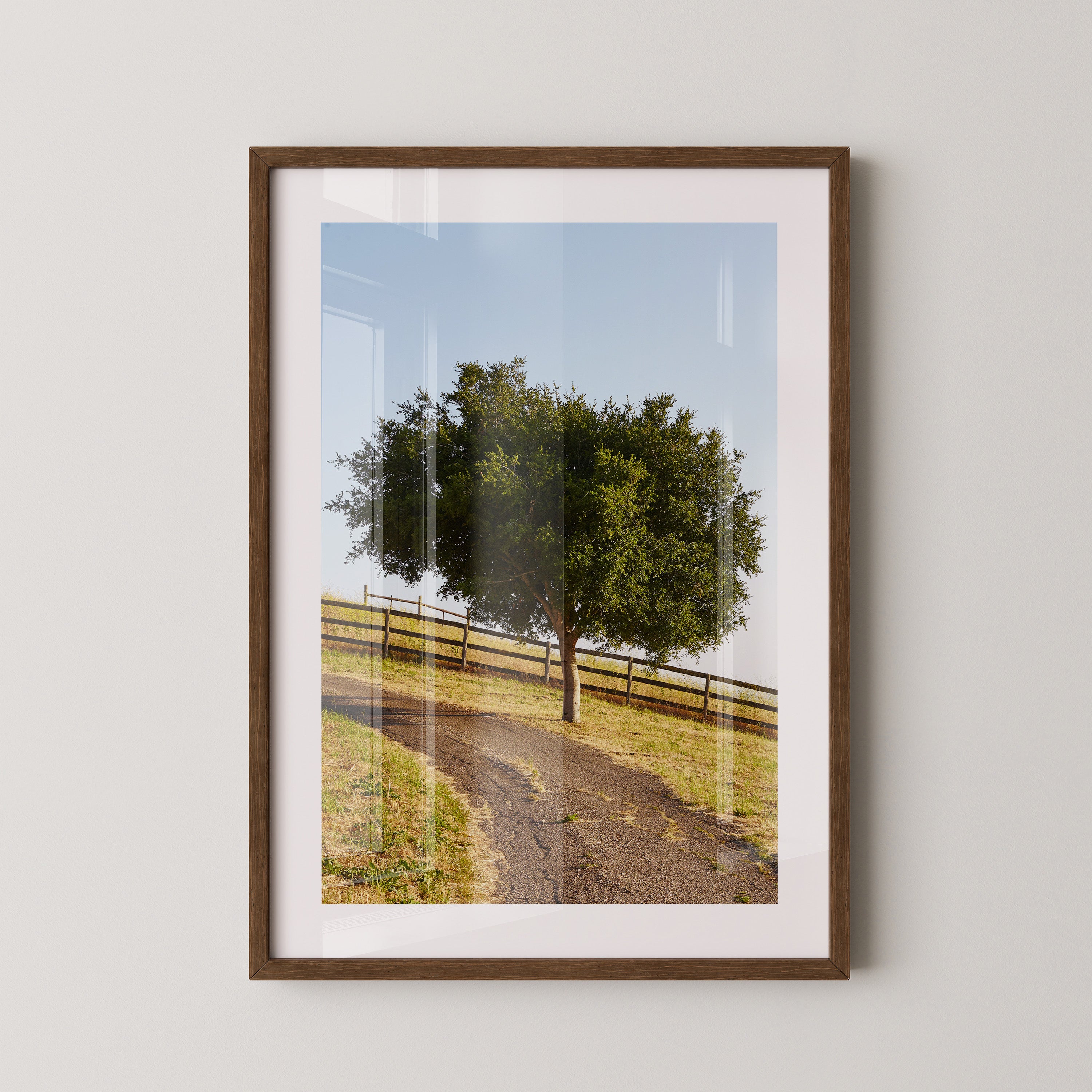 Baumallee Zaun Schattenspiele