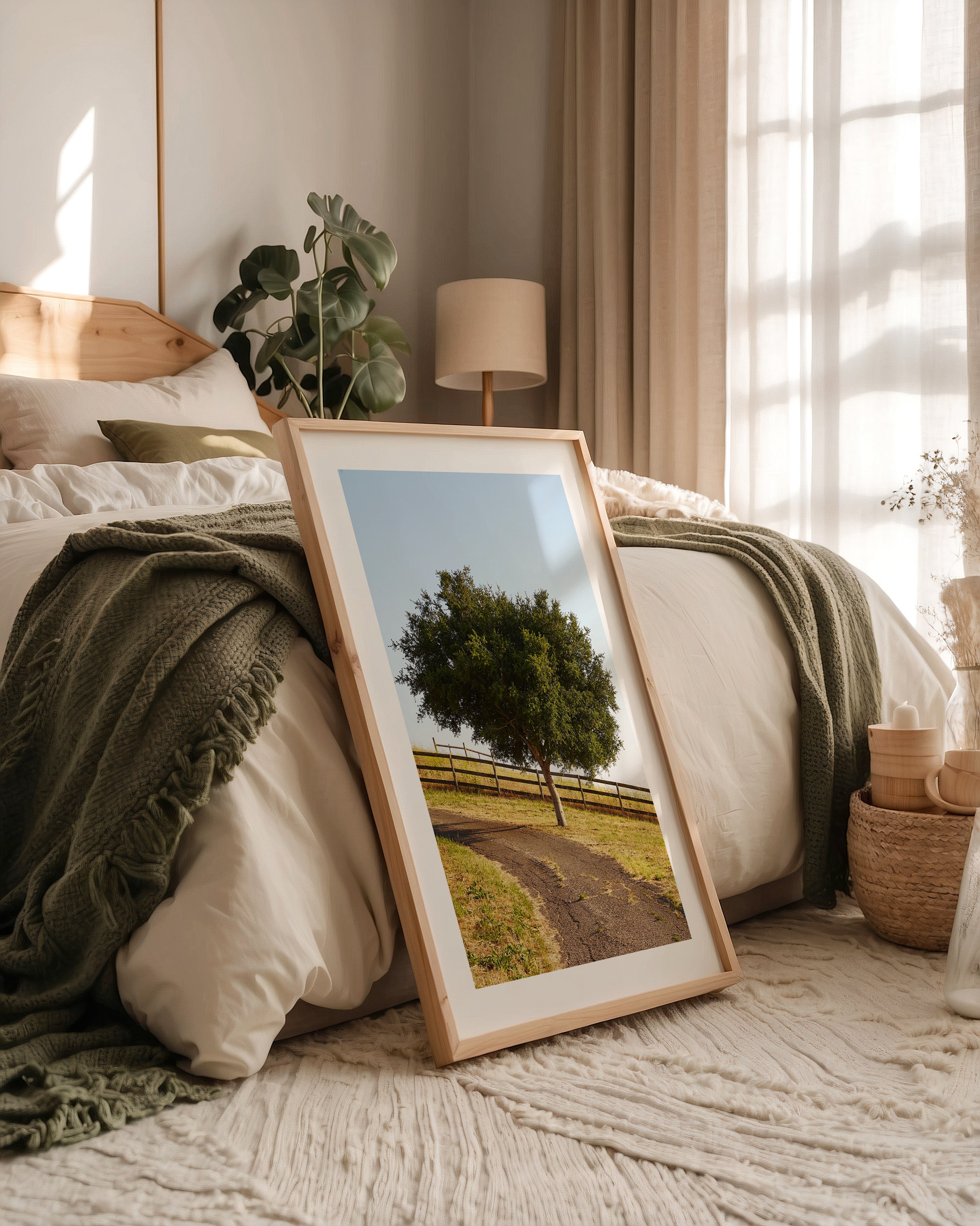 Baumallee Zaun Schattenspiele