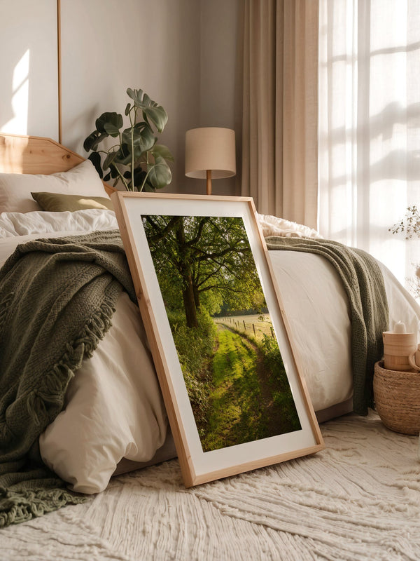 Waldweg im Sonnenlicht