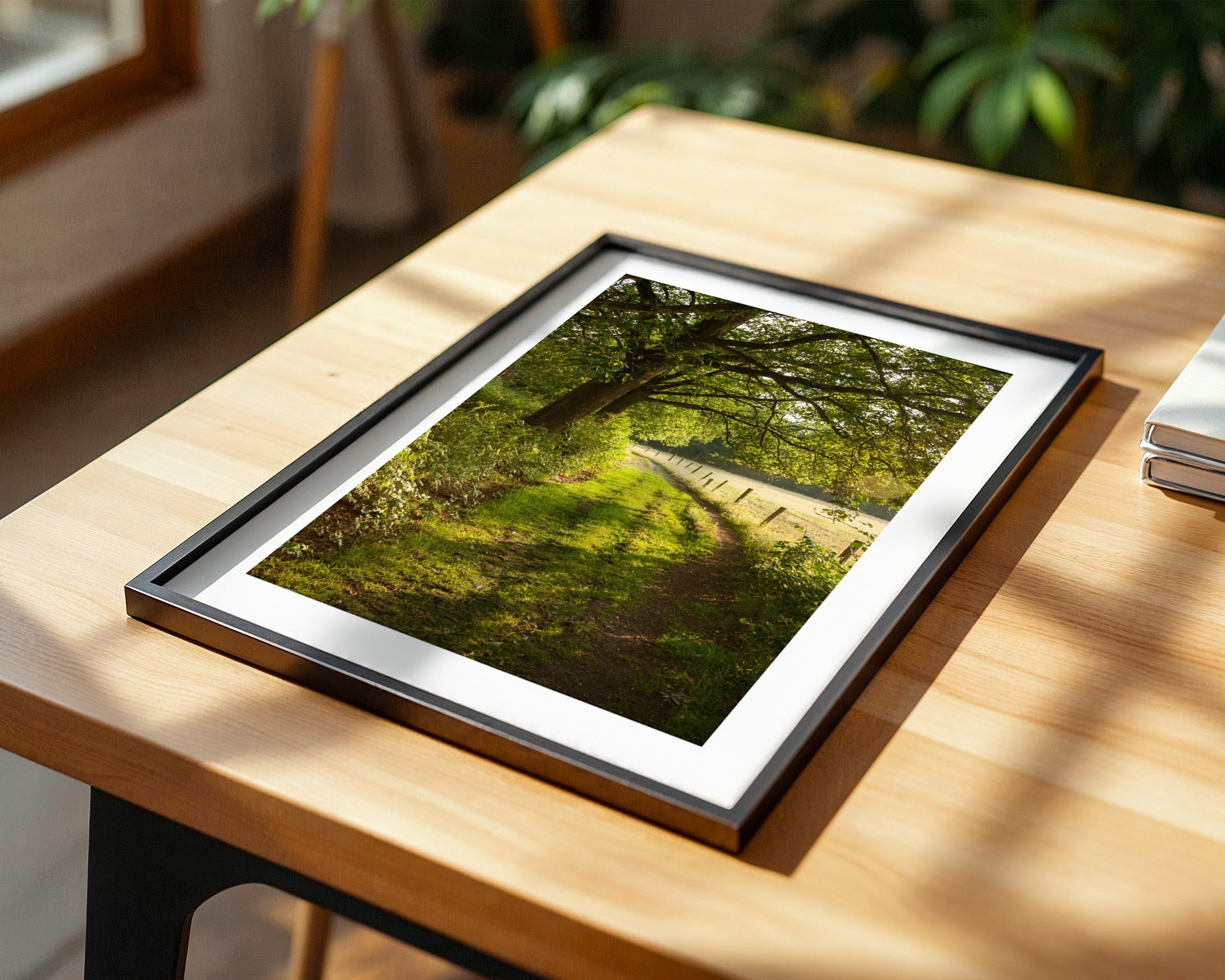 Waldweg im Sonnenlicht