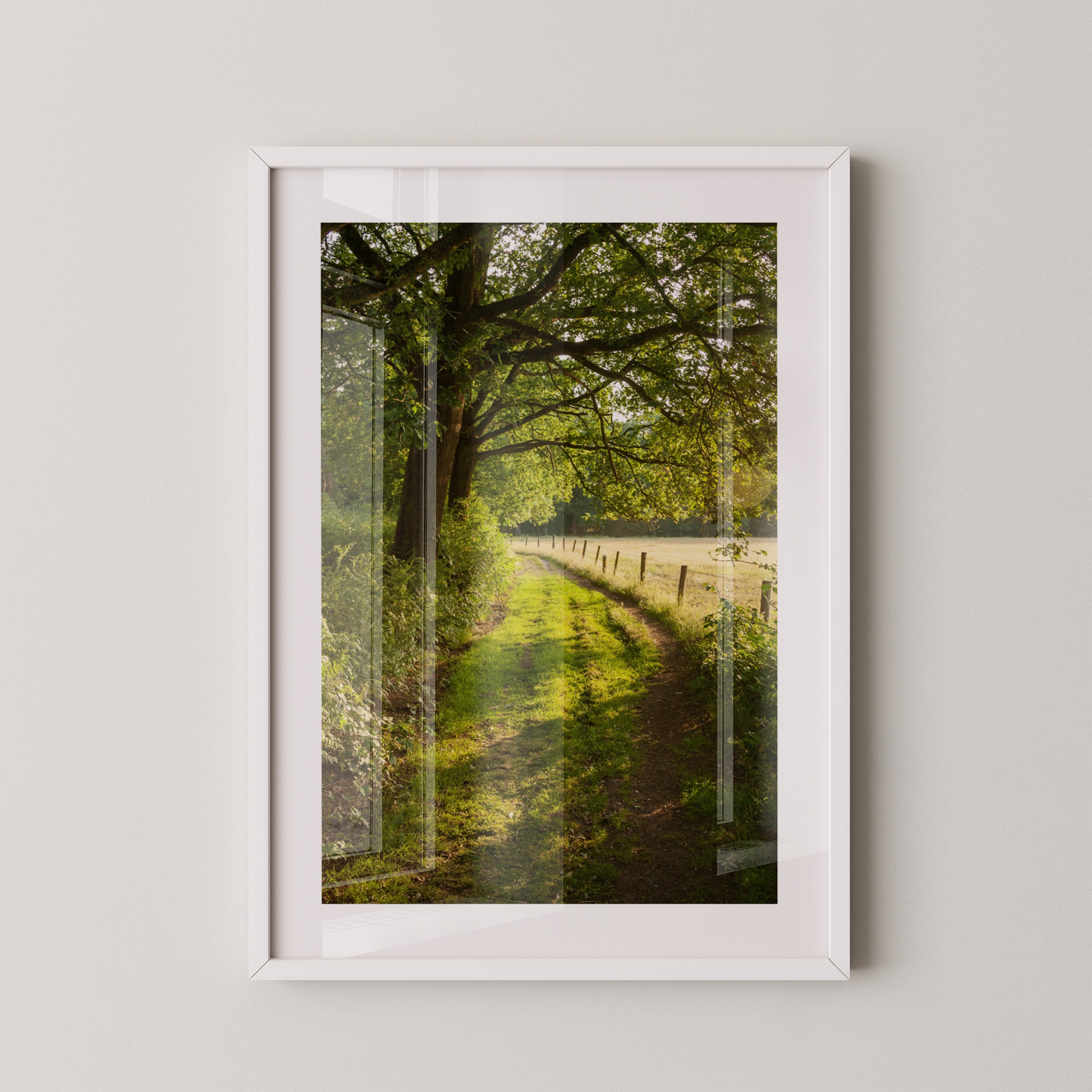 Waldweg im Sonnenlicht