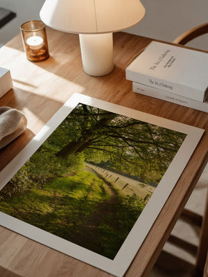 Waldweg im Sonnenlicht