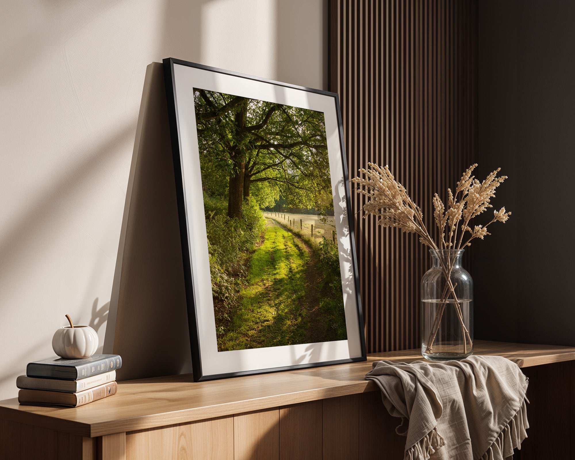 Waldweg im Sonnenlicht