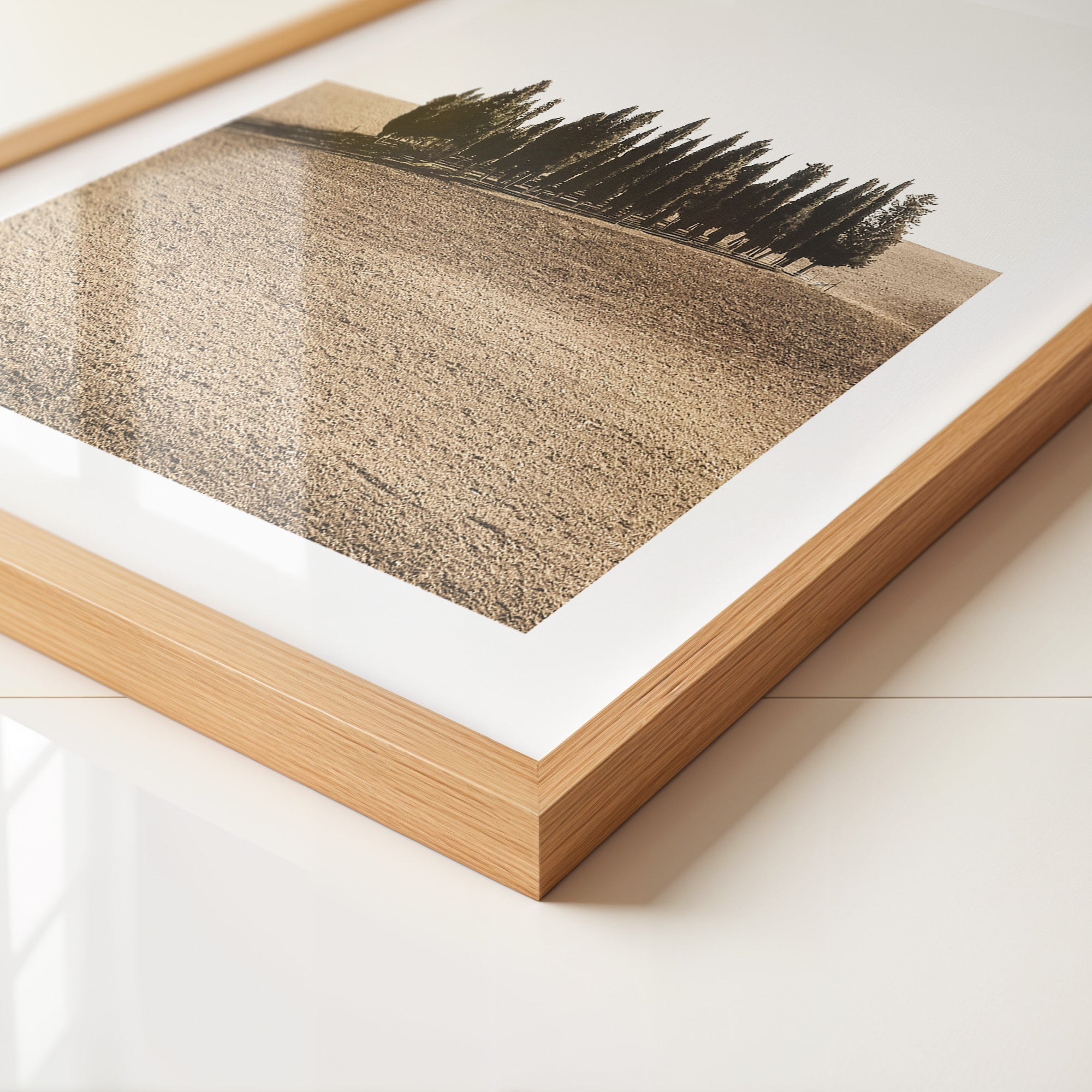 Zypressen Hügel Sepia