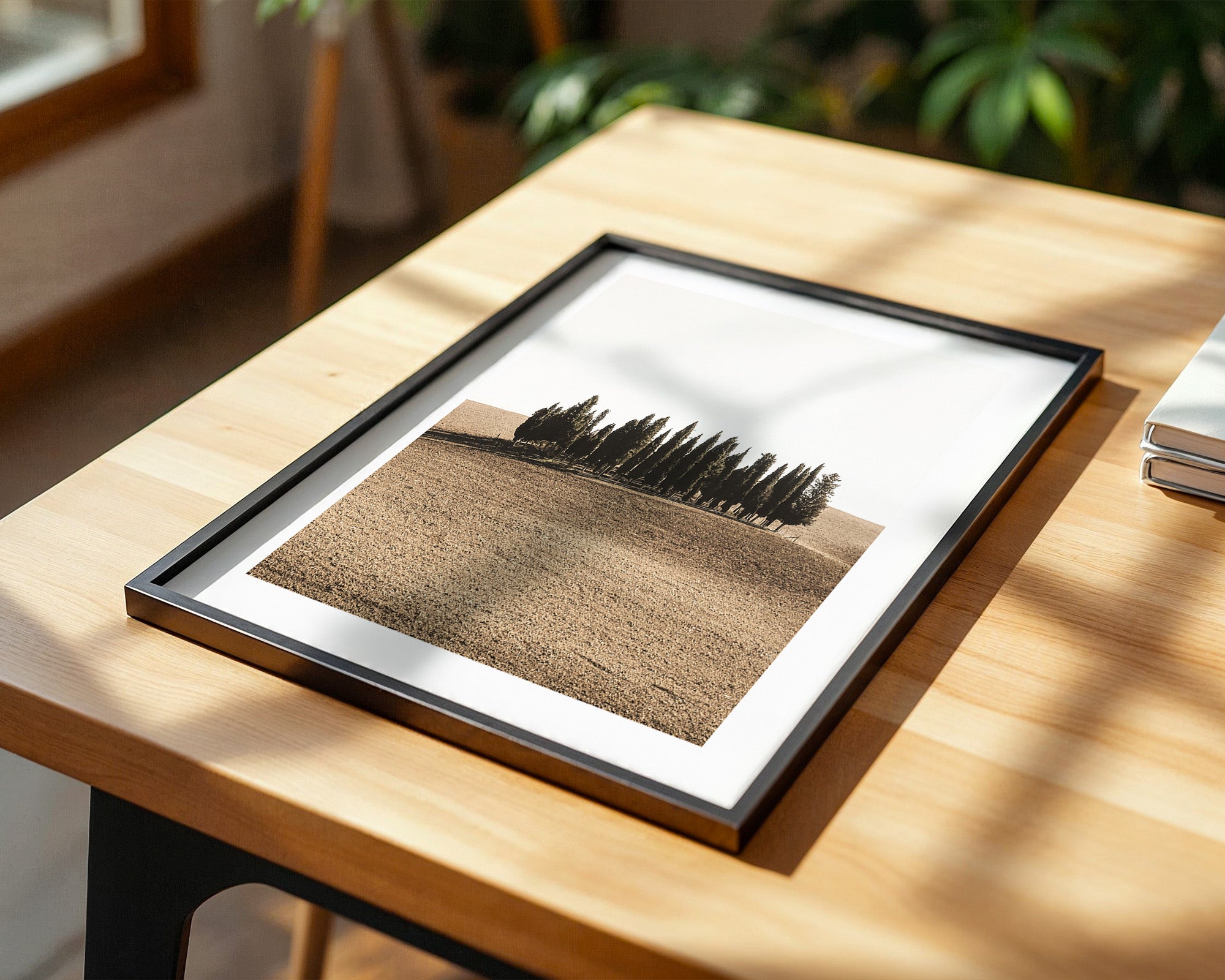 Zypressen Hügel Sepia