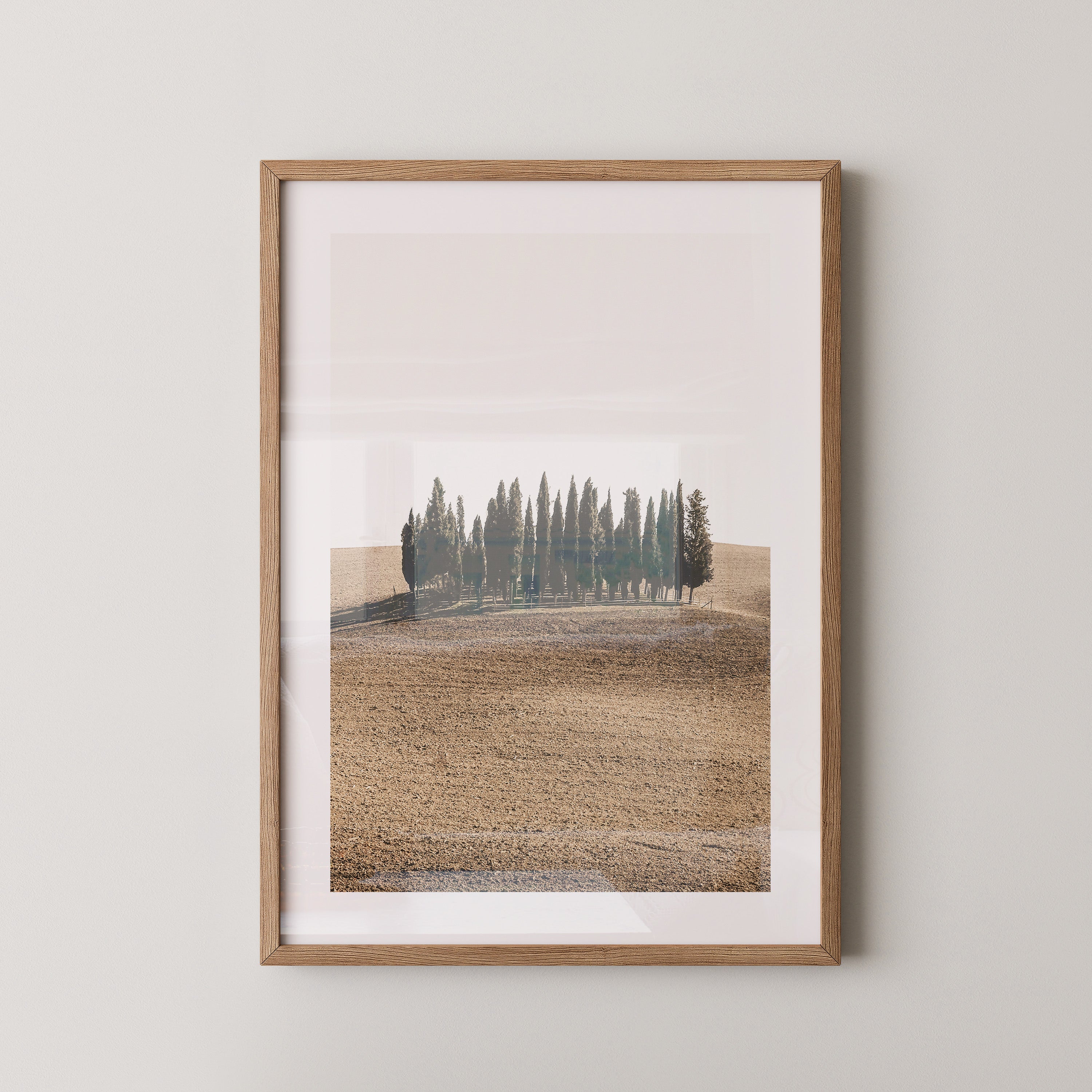 Zypressen Hügel Sepia