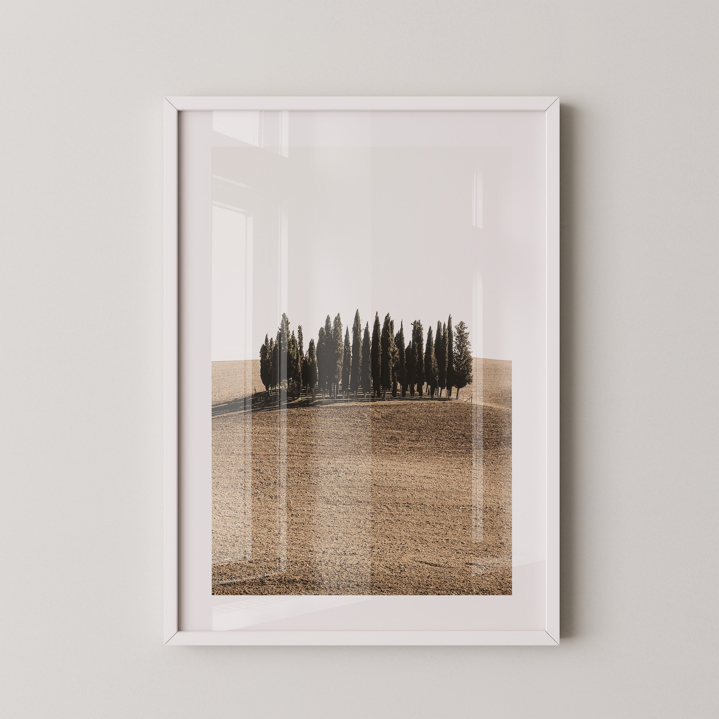 Zypressen Hügel Sepia
