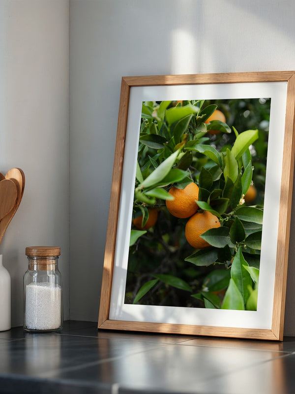Orangenbaum Grünes Laub