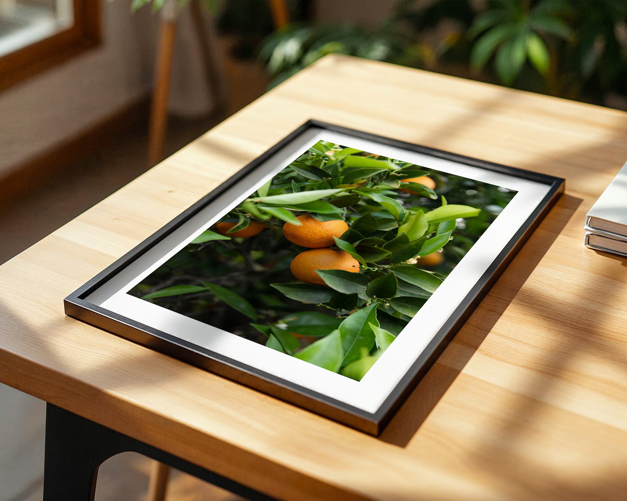 Orangenbaum Grünes Laub