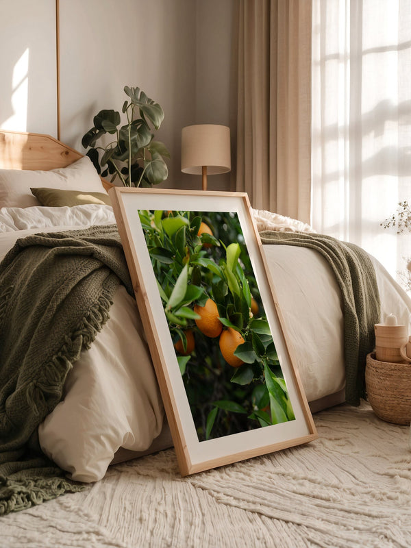 Orangenbaum Grünes Laub