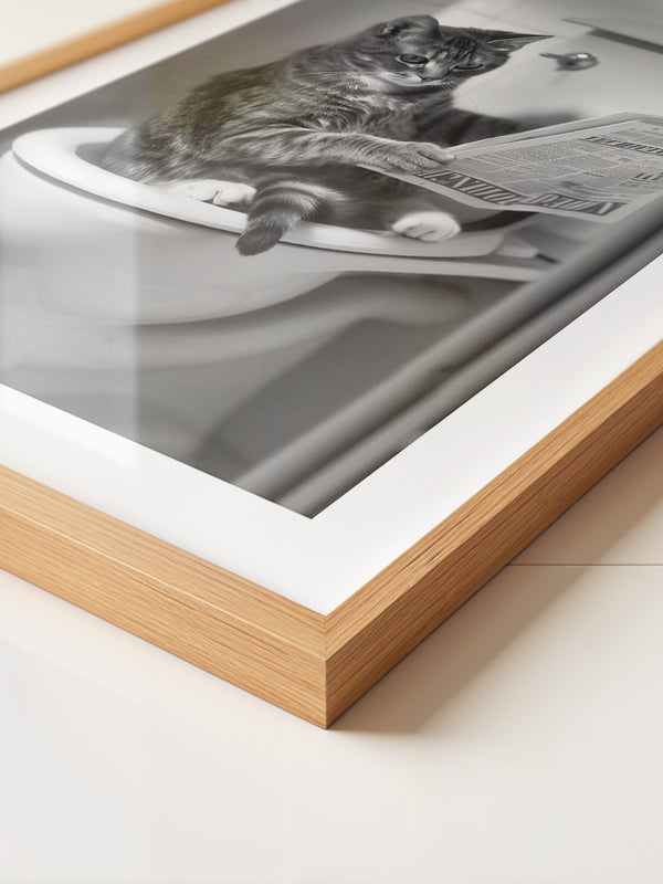 Zeitungslesende Katze S/W