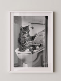 Zeitungslesende Katze S/W