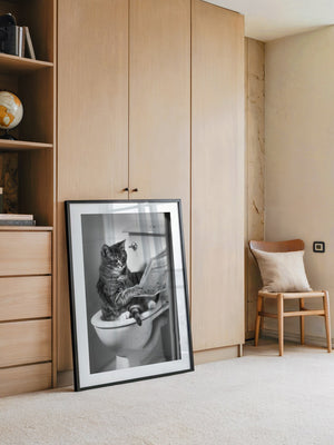 Zeitungslesende Katze S/W