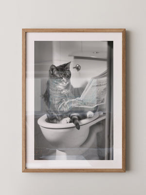 Zeitungslesende Katze S/W