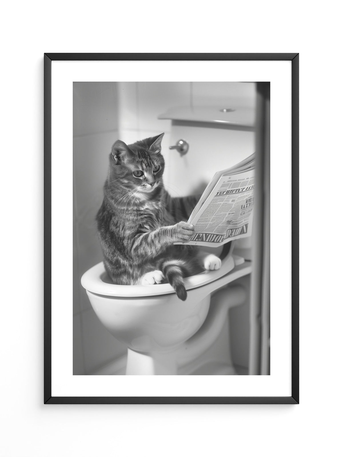 Zeitungslesende Katze S/W