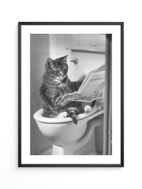Zeitungslesende Katze S/W
