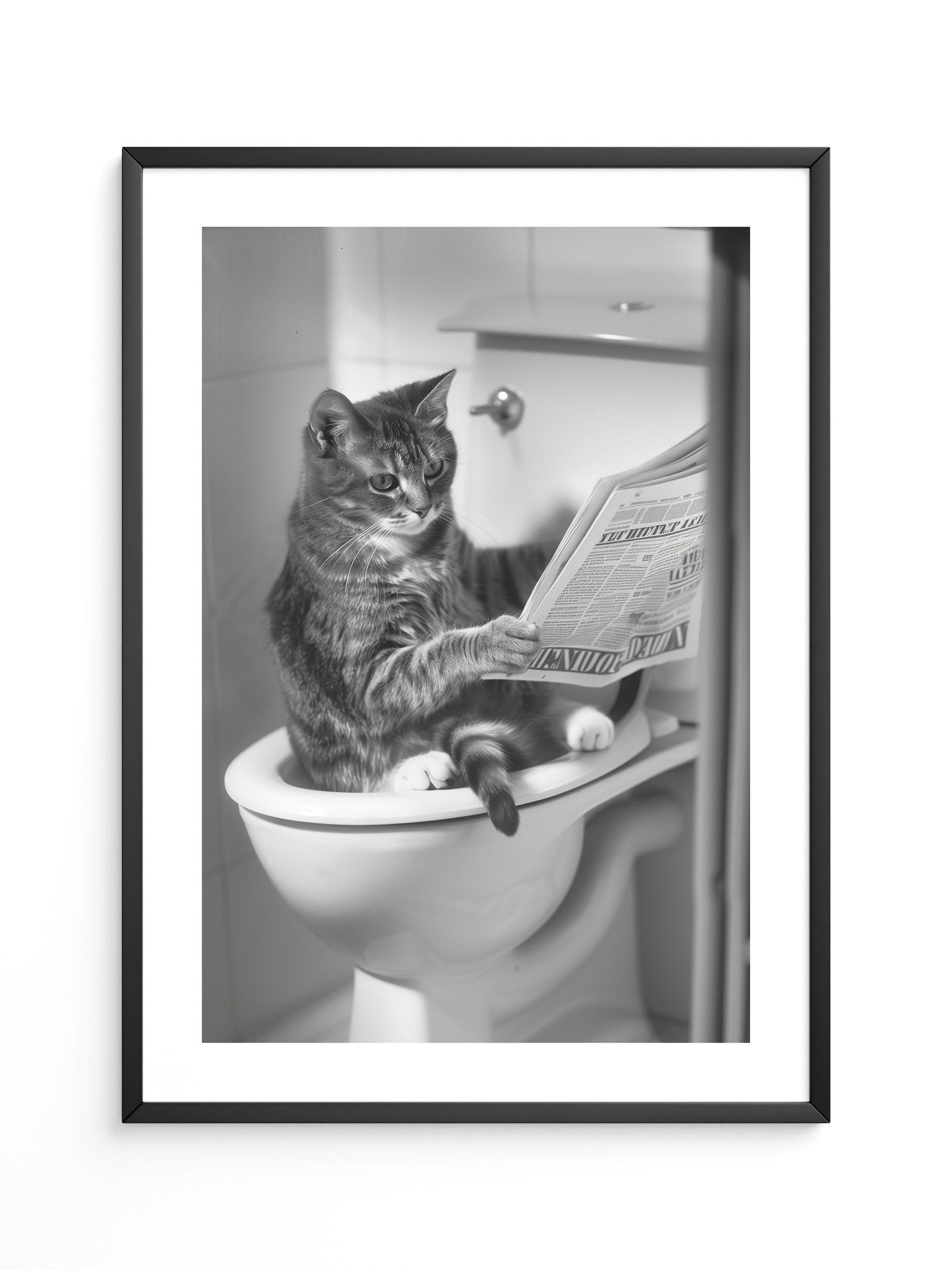 Zeitungslesende Katze S/W