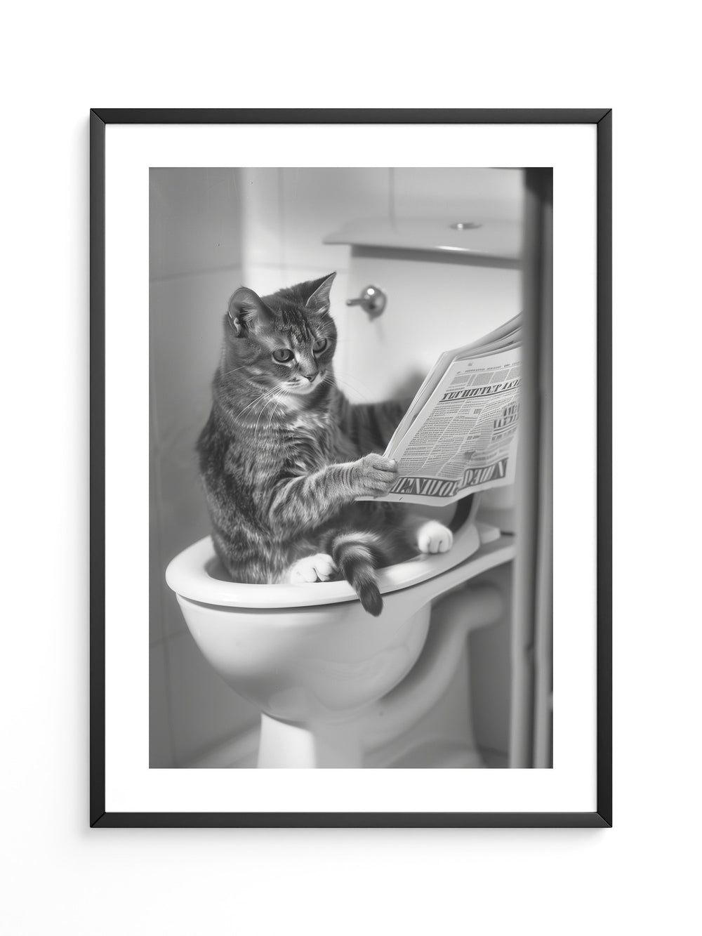 Zeitungslesende Katze S/W