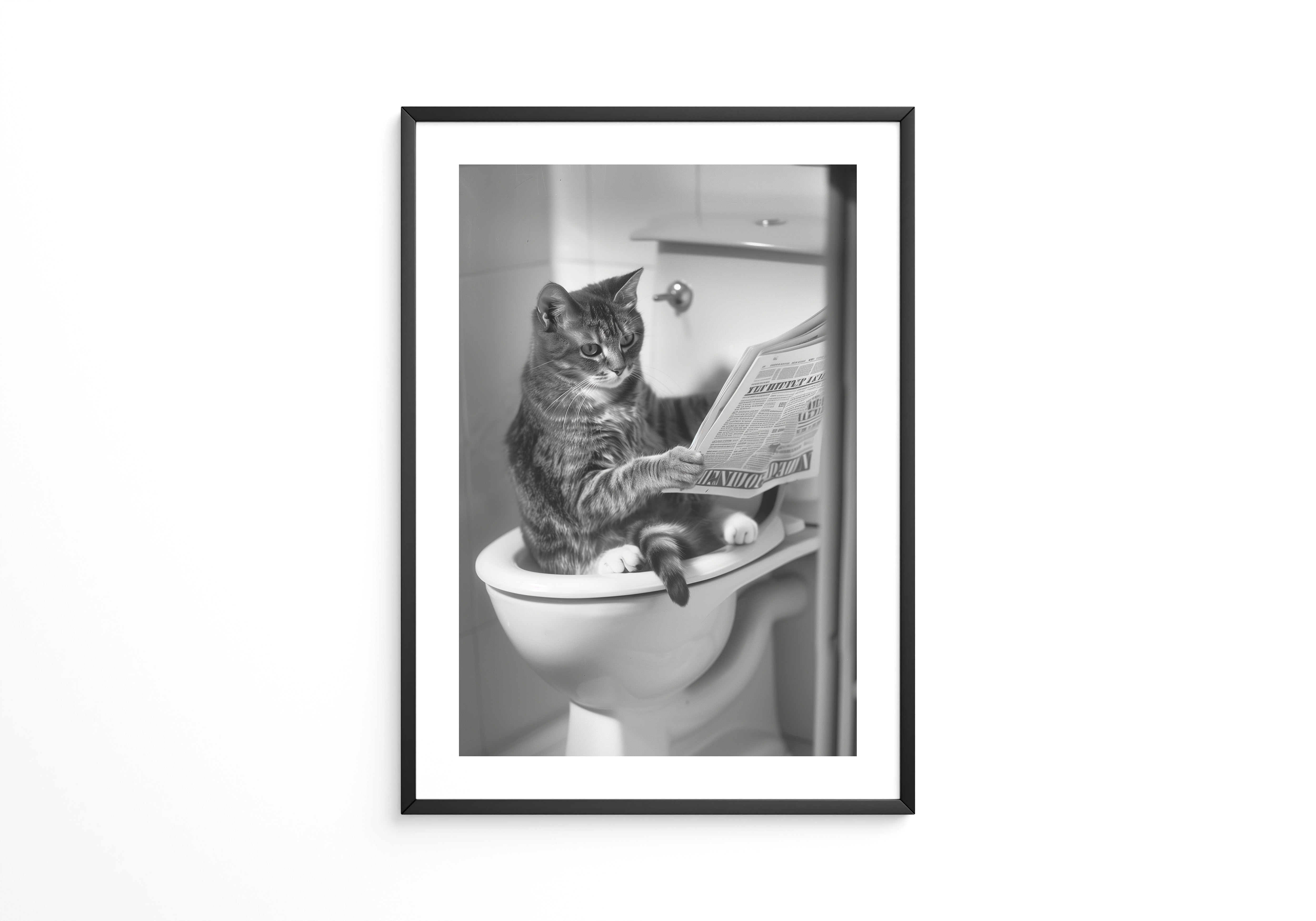 Zeitungslesende Katze S/W