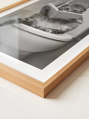 Katze Toilette Buch Lesevergnügen