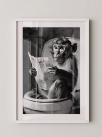 Affe Zeitung Toilettenszene