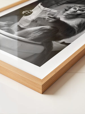 Affe Zeitung Toilettenszene