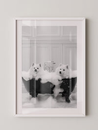 Hunde Schaumbad Schwarzweiß