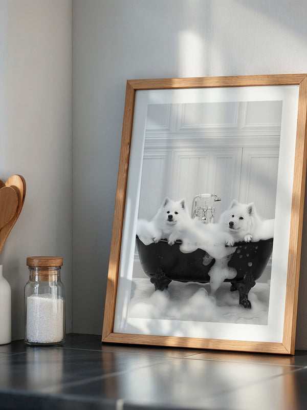 Hunde Schaumbad Schwarzweiß