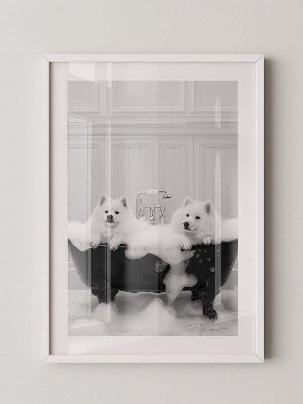 Hunde Schaumbad Schwarzweiß