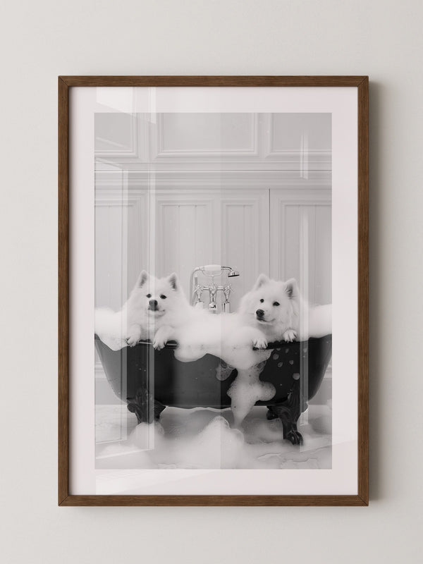 Hunde Schaumbad Schwarzweiß