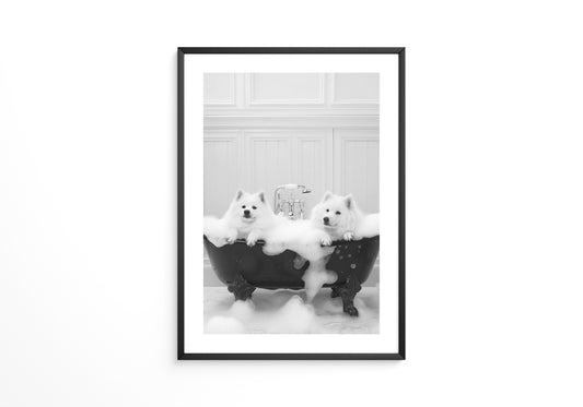 Hunde Schaumbad Schwarzweiß