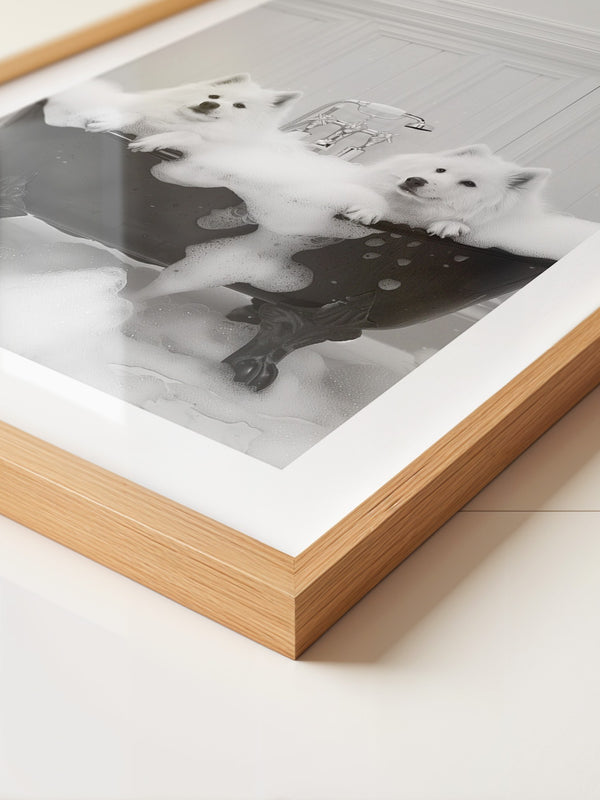 Hunde Schaumbad Schwarzweiß