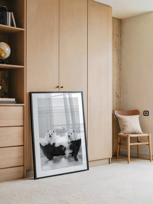 Hunde Schaumbad Schwarzweiß