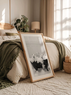 Hunde Schaumbad Schwarzweiß