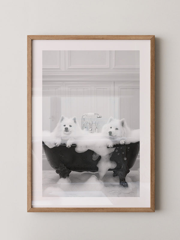 Hunde Schaumbad Schwarzweiß