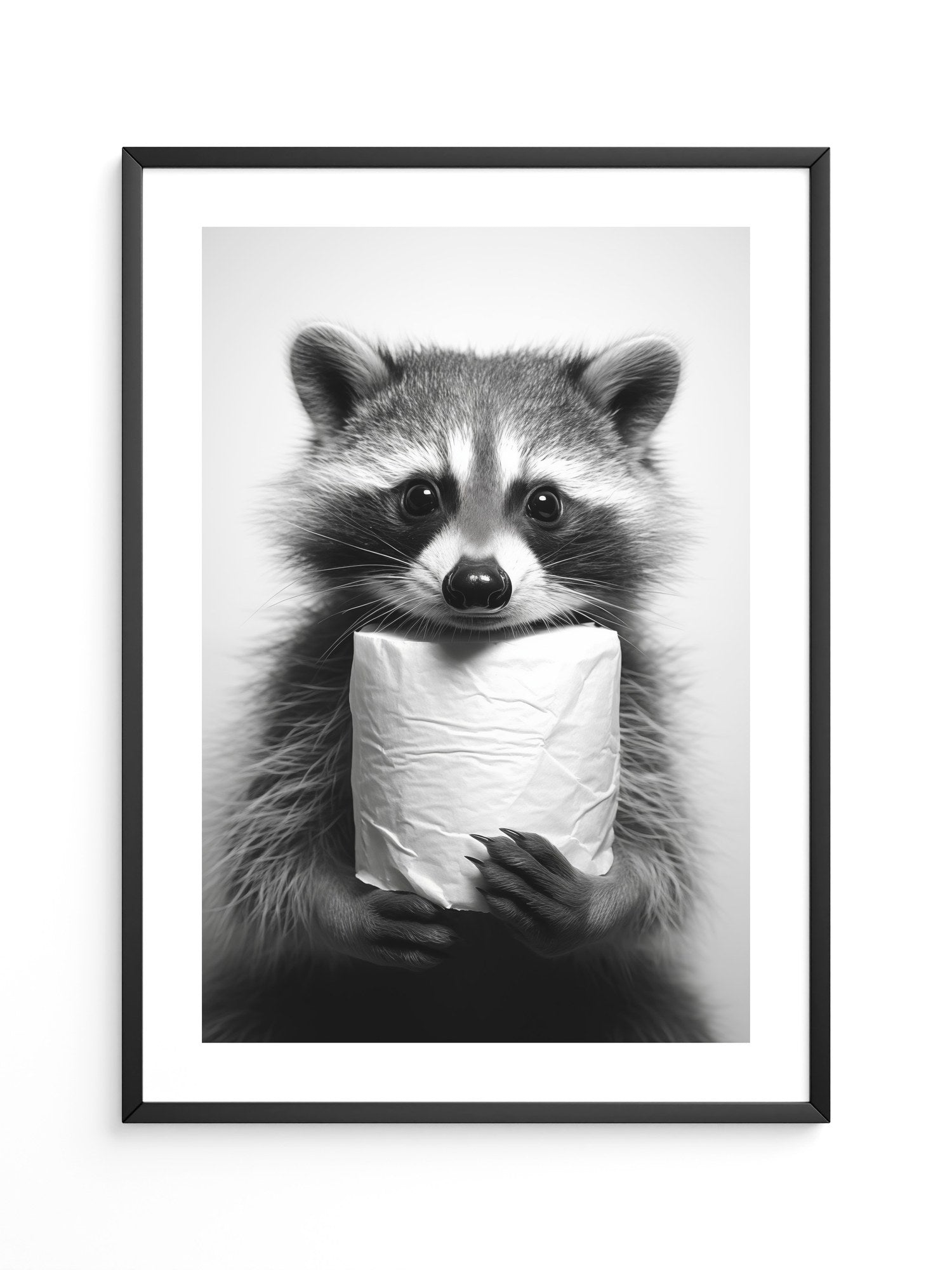 Waschbär Schwarzweiß Humor