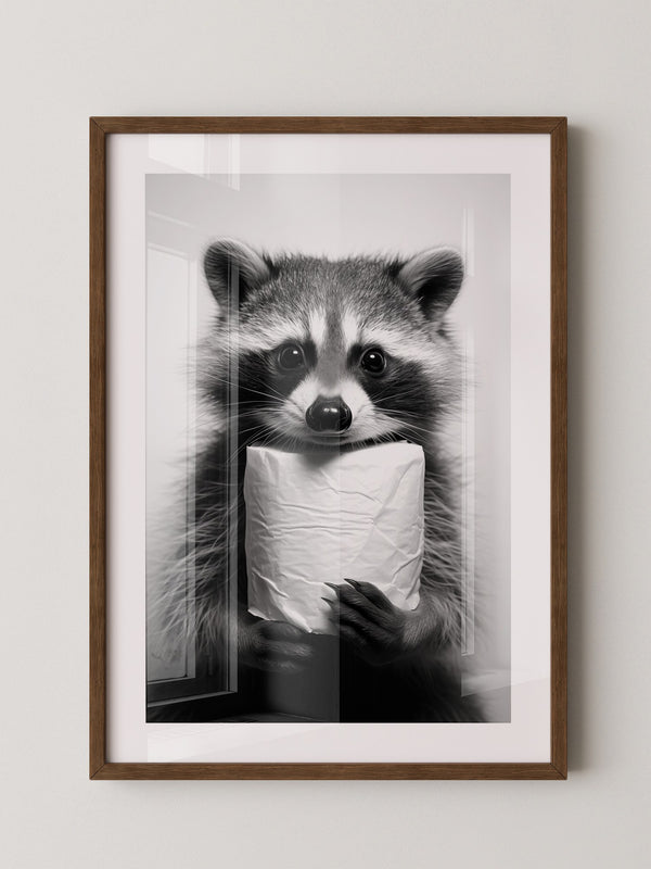 Waschbär Schwarzweiß Humor