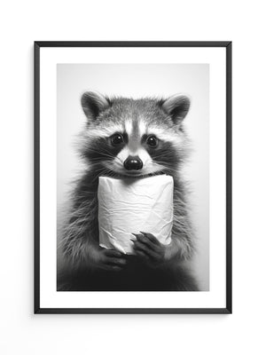 Waschbär Schwarzweiß Humor