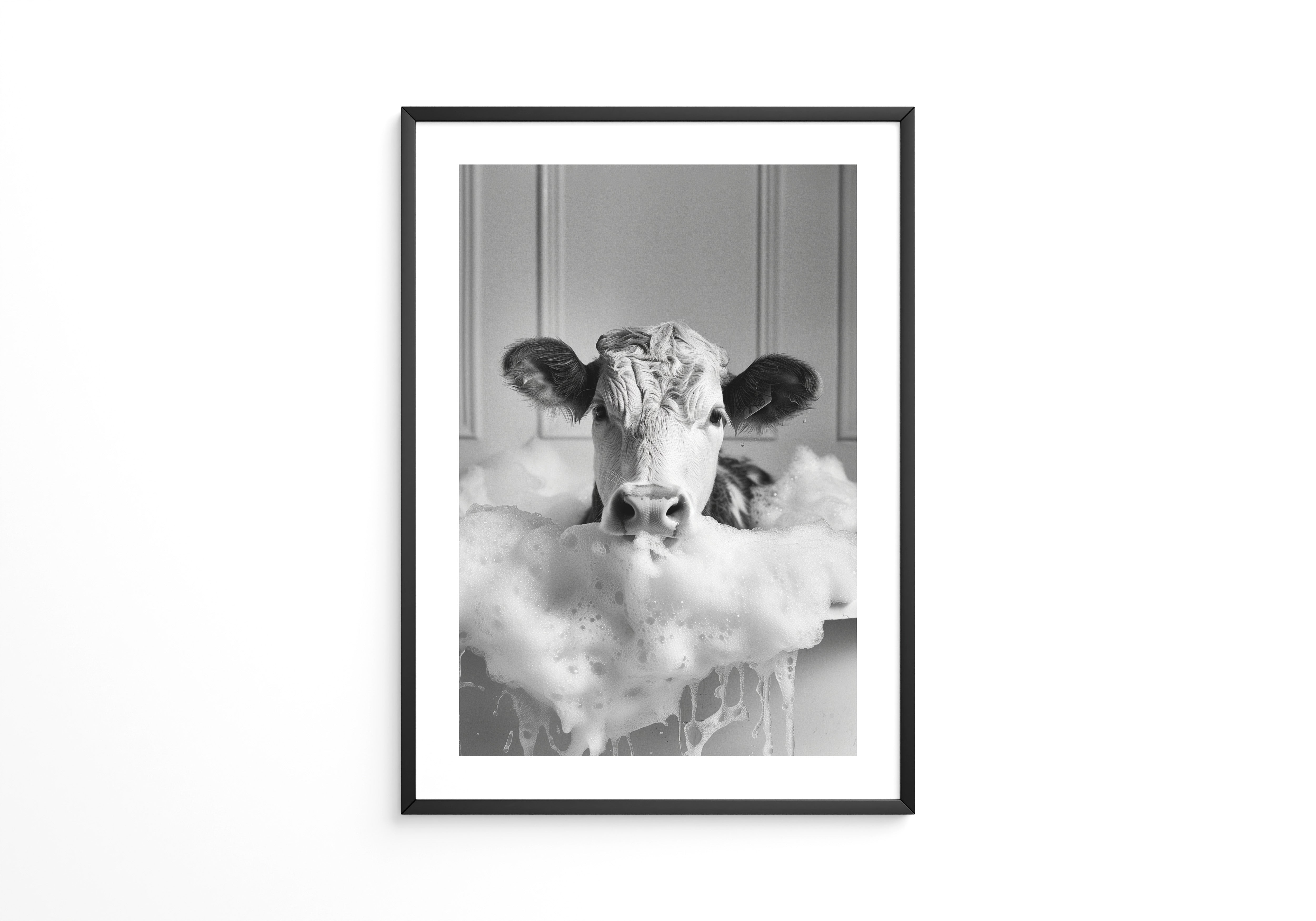 Kuh Schaumbad Schwarzweiß