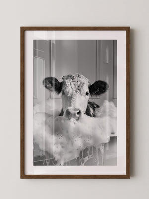 Kuh Schaumbad Schwarzweiß