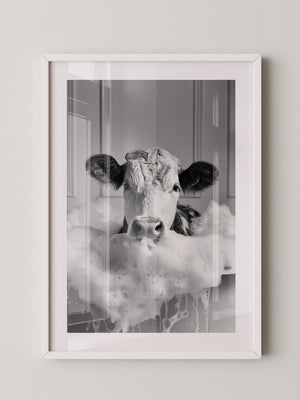 Kuh Schaumbad Schwarzweiß