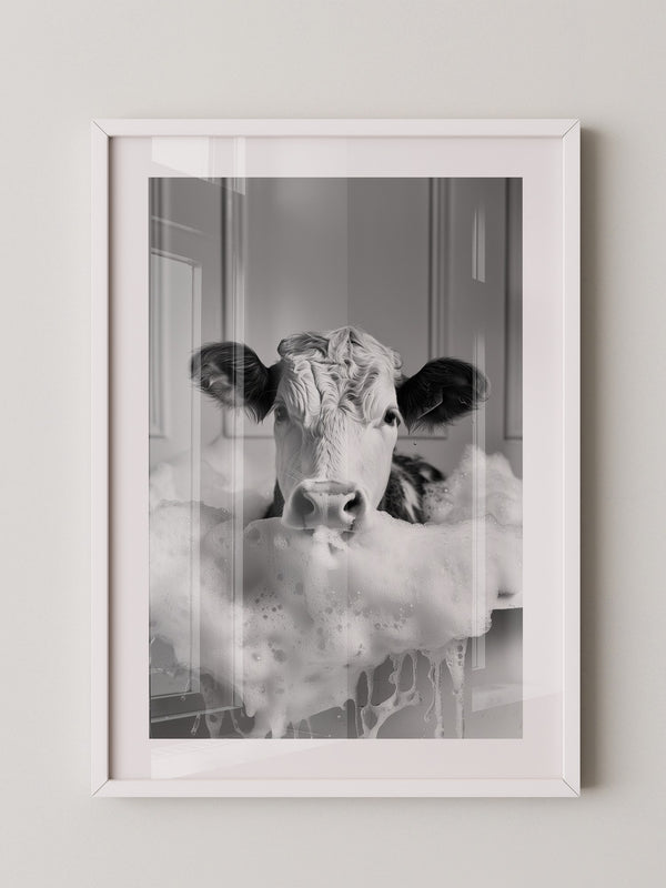 Kuh Schaumbad Schwarzweiß